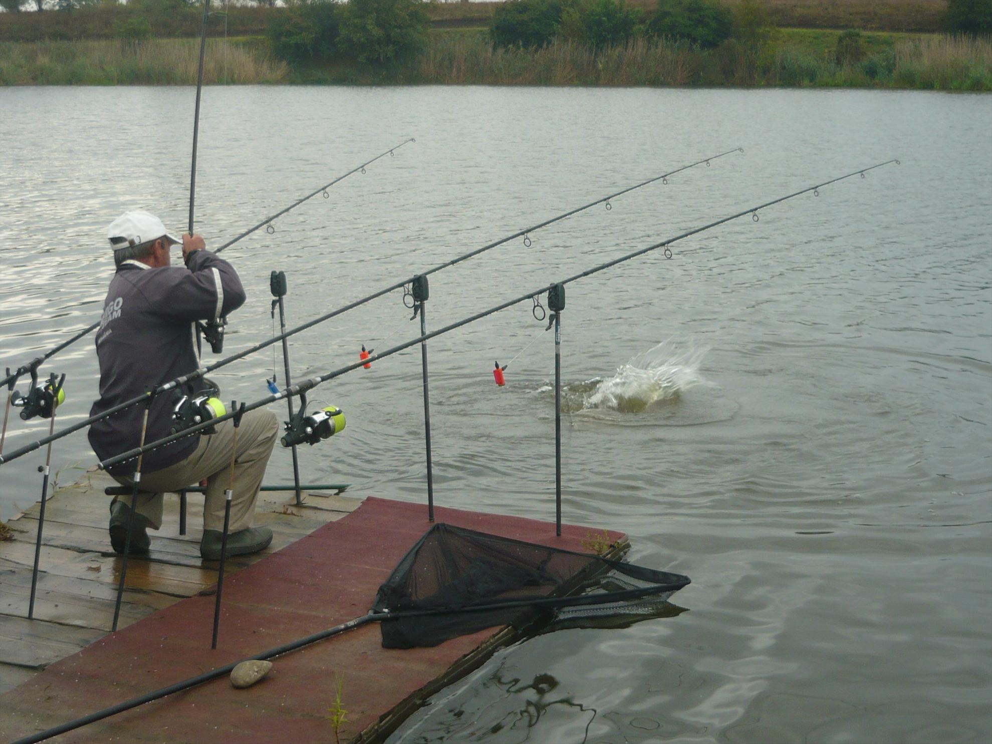 Best-2010 - p1020488.JPG